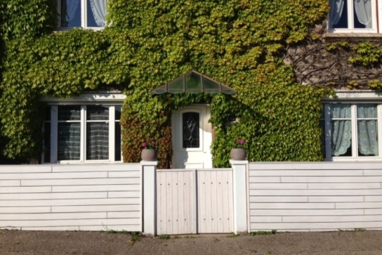 106-cloture-en-pin-768x512